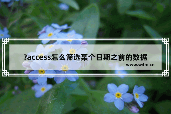 ?access怎么筛选某个日期之前的数据