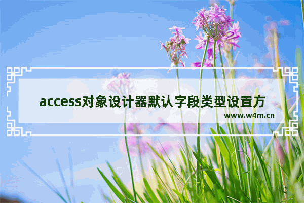 access对象设计器默认字段类型设置方法