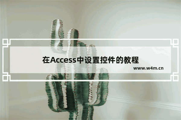 在Access中设置控件的教程