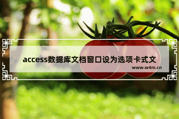 access数据库文档窗口设为选项卡式文档的操作方法