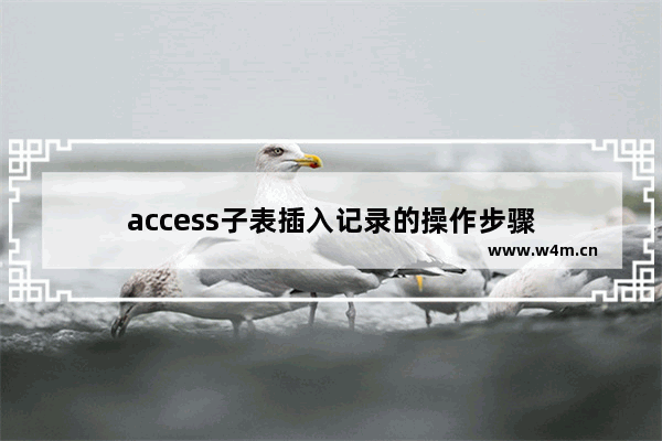 access子表插入记录的操作步骤