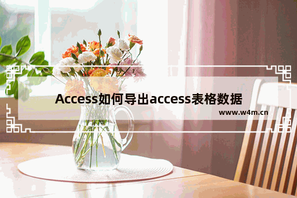 Access如何导出access表格数据？Access导出access表格数据的方法