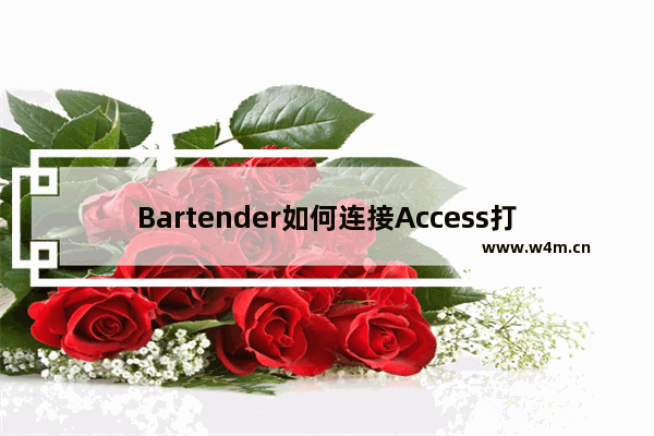 Bartender如何连接Access打印？Bartender连接Access打印的方法