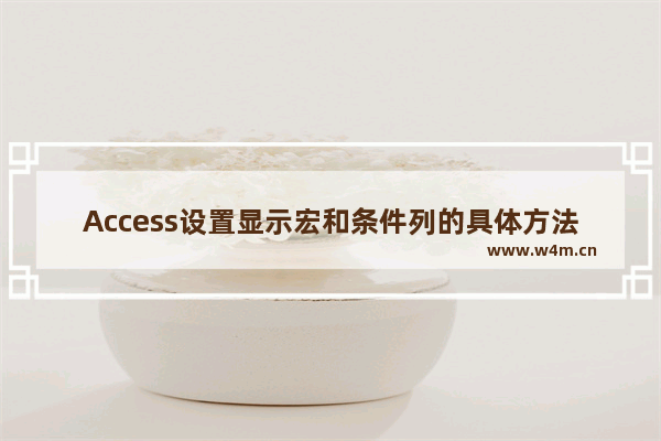 Access设置显示宏和条件列的具体方法