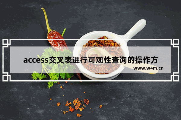 access交叉表进行可观性查询的操作方法