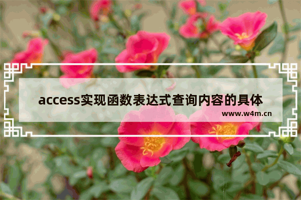 access实现函数表达式查询内容的具体方法