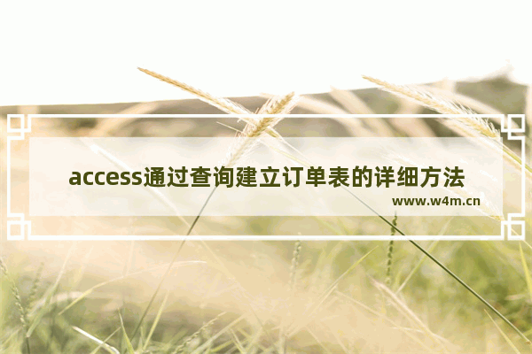 access通过查询建立订单表的详细方法