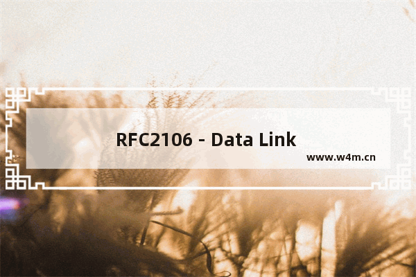 RFC2106 - Data Link Switching Remote Access Protocol