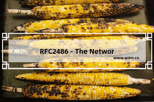 RFC2486 - The Network Access Identifier