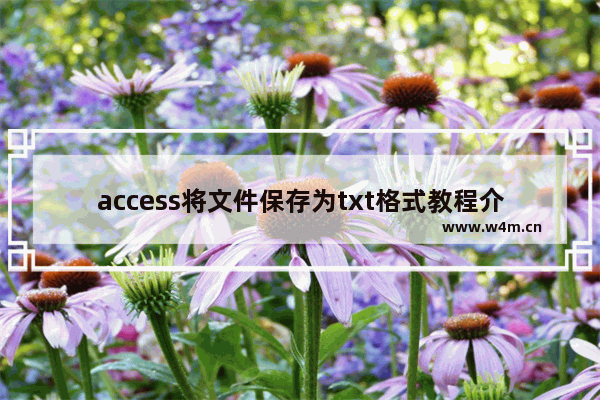 access将文件保存为txt格式教程介绍