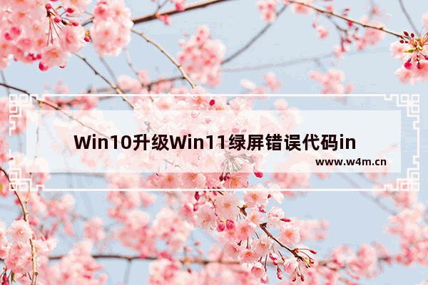 Win10升级Win11绿屏错误代码invalid_data_access_trap怎么办？