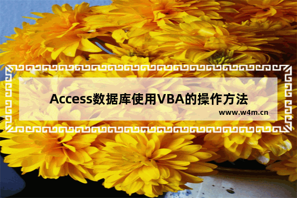 Access数据库使用VBA的操作方法