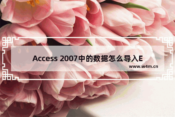 Access 2007中的数据怎么导入Excel文件?