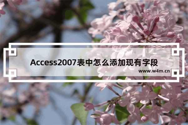 Access2007表中怎么添加现有字段?