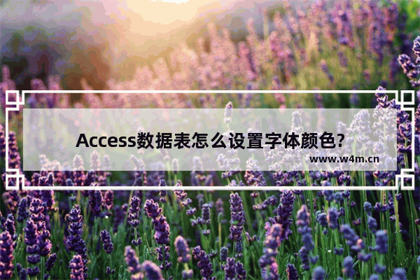 Access数据表怎么设置字体颜色?