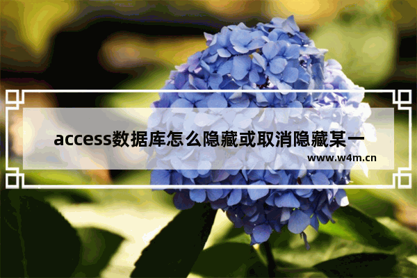 access数据库怎么隐藏或取消隐藏某一字段?