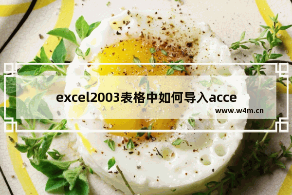 excel2003表格中如何导入access数据库?