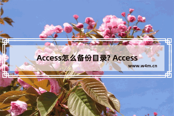 Access怎么备份目录? Access备份首选项的技巧