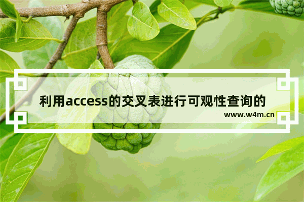 利用access的交叉表进行可观性查询的方法