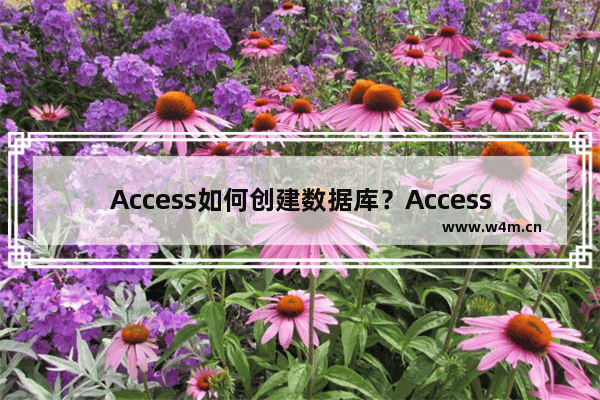 Access如何创建数据库？Access创建数据库教程