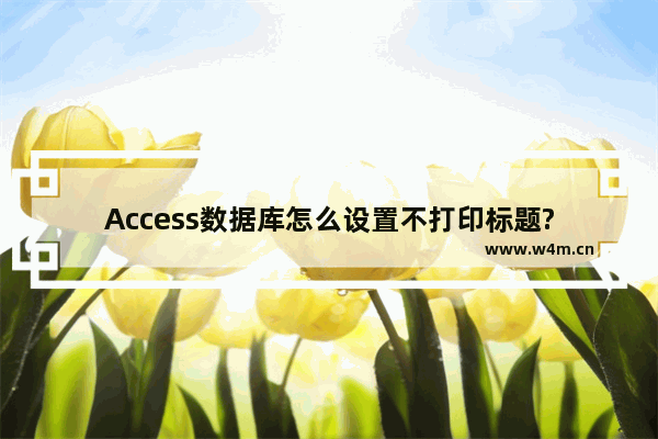 Access数据库怎么设置不打印标题?