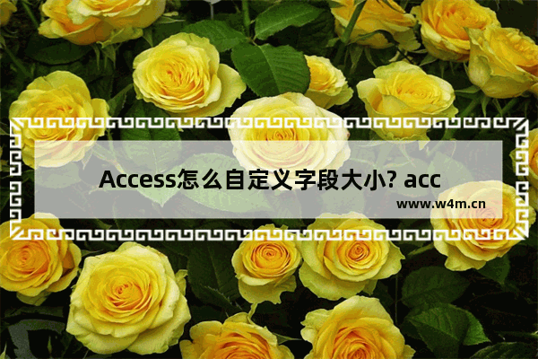 Access怎么自定义字段大小? access设置字段大小的方法