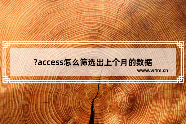 ?access怎么筛选出上个月的数据