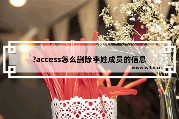 ?access怎么删除李姓成员的信息