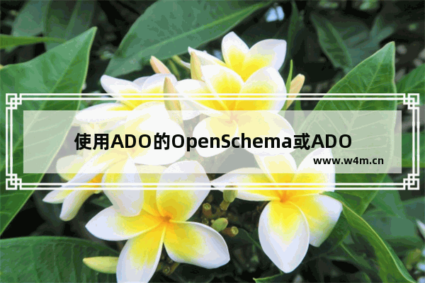 使用ADO的OpenSchema或ADOX无法读取所有Access数据库里所有查询名称列表的问题