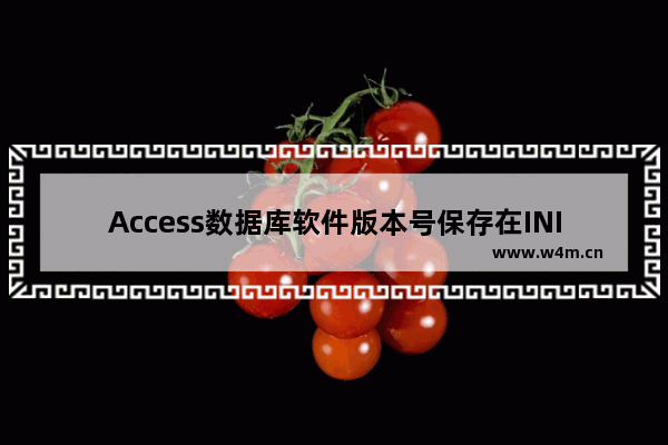 Access数据库软件版本号保存在INI文件中，然后从INI文件中提取版本号