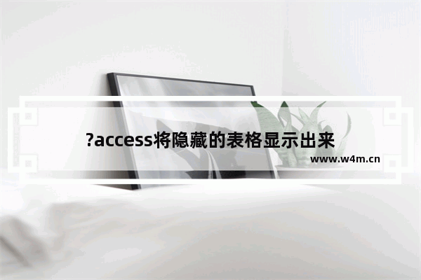 ?access将隐藏的表格显示出来