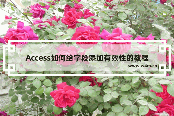 Access如何给字段添加有效性的教程