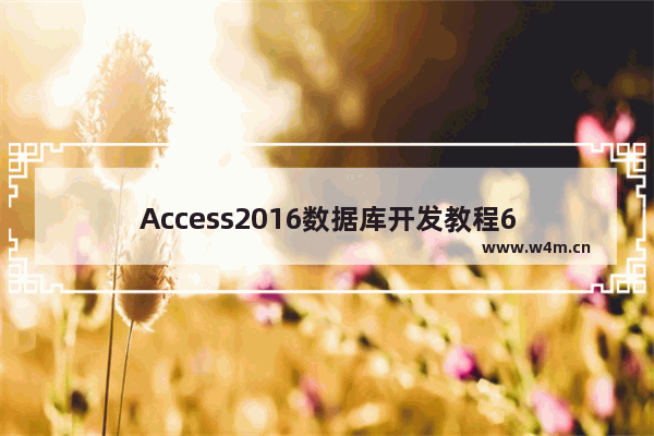 Access2016数据库开发教程6