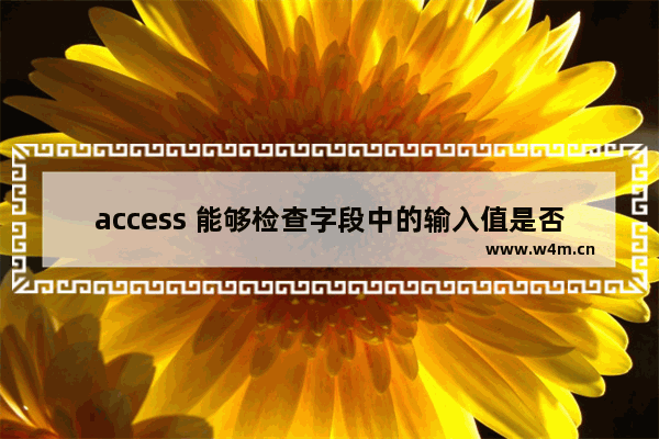 access 能够检查字段中的输入值是否合法的属性是什么？