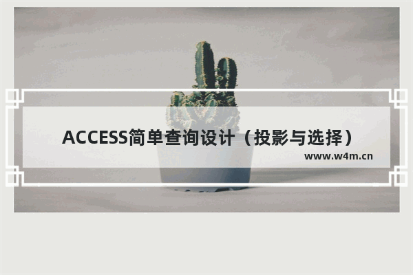 ACCESS简单查询设计（投影与选择）