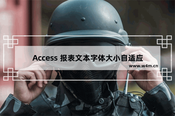 Access 报表文本字体大小自适应