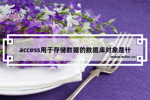 access用于存储数据的数据库对象是什么