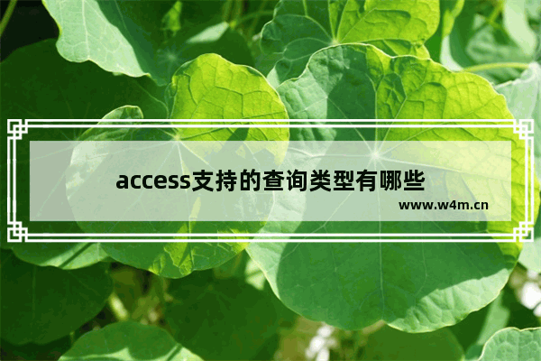 access支持的查询类型有哪些