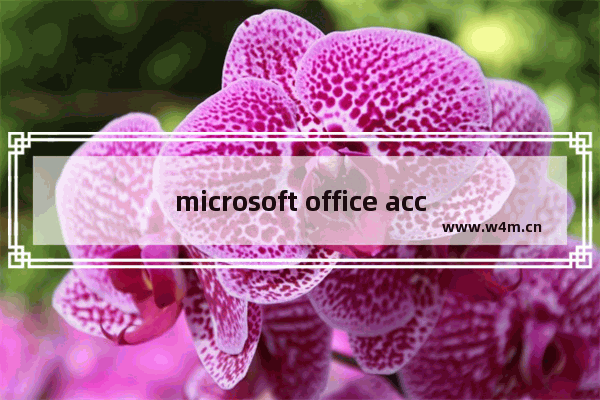 microsoft office access是什么意思