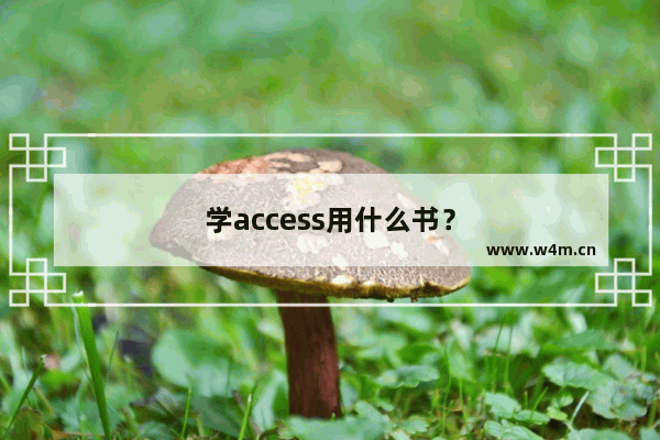 学access用什么书？