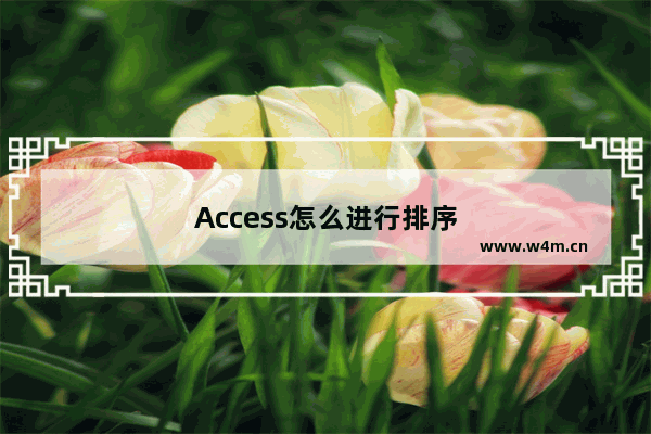 Access怎么进行排序