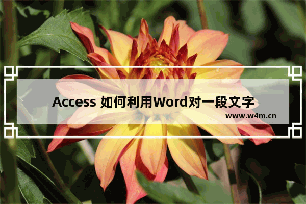 Access 如何利用Word对一段文字进行分词一、问题描述：二、解决方法：三、演 示: