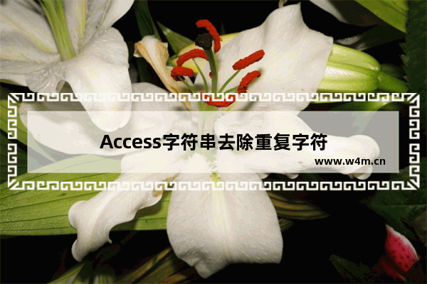 Access字符串去除重复字符