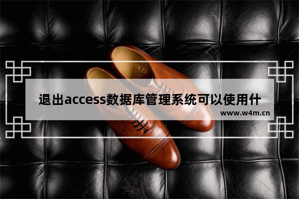 退出access数据库管理系统可以使用什么组合键