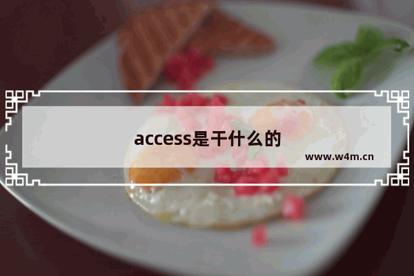 access是干什么的