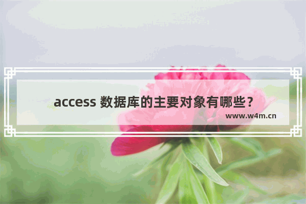 access 数据库的主要对象有哪些？