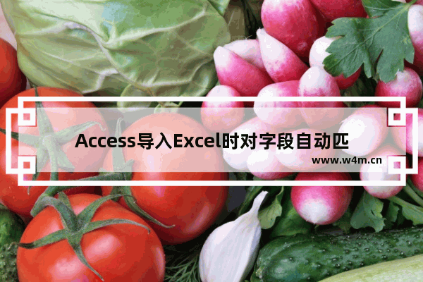 Access导入Excel时对字段自动匹配