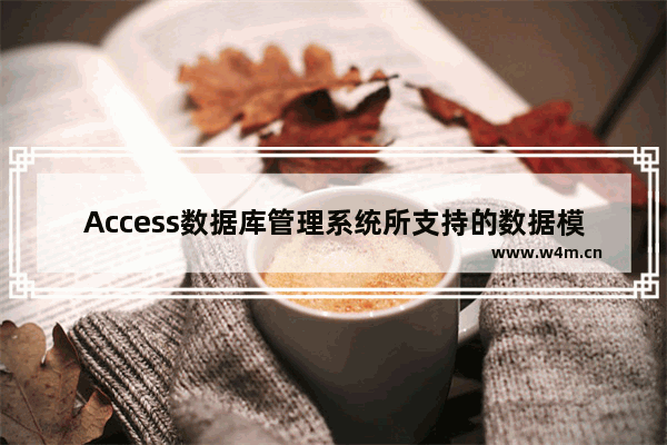 Access数据库管理系统所支持的数据模型是什么