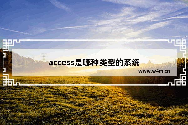 access是哪种类型的系统