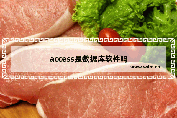 access是数据库软件吗